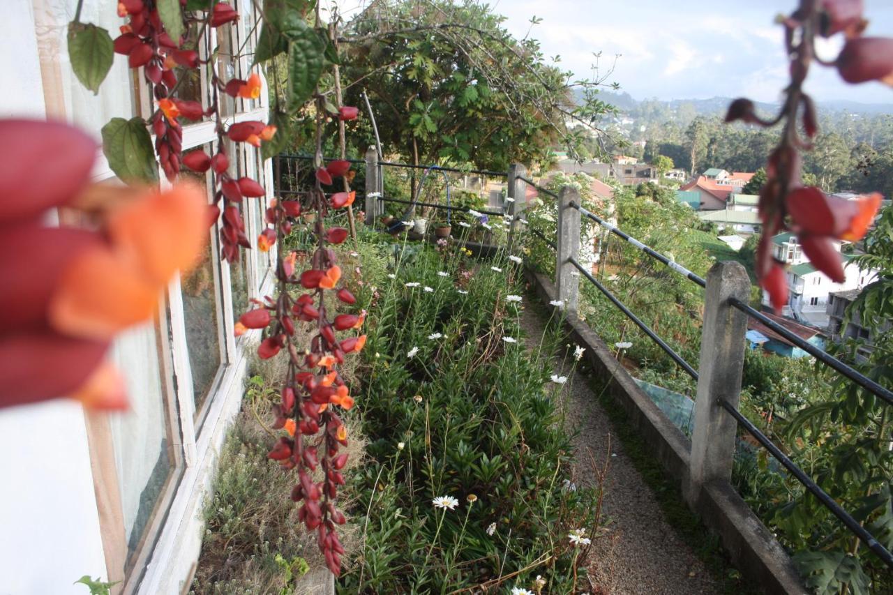 Bezel Bungalow נוארה אליה מראה חיצוני תמונה
